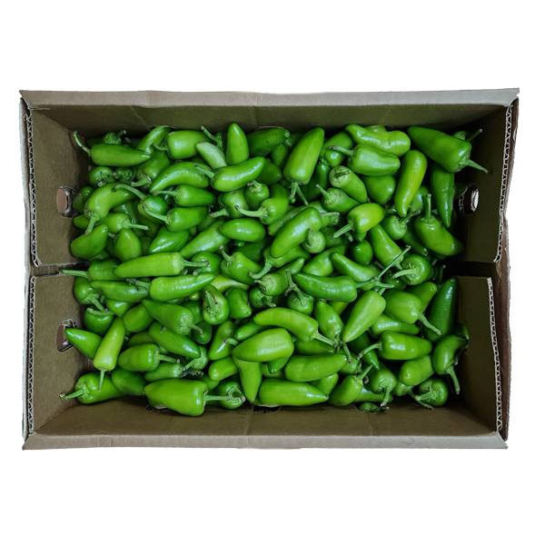 FRESH BULLET CHILLI BOX