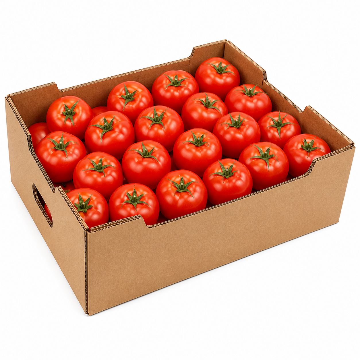 FRESH TOMATO ( 1 BOX )