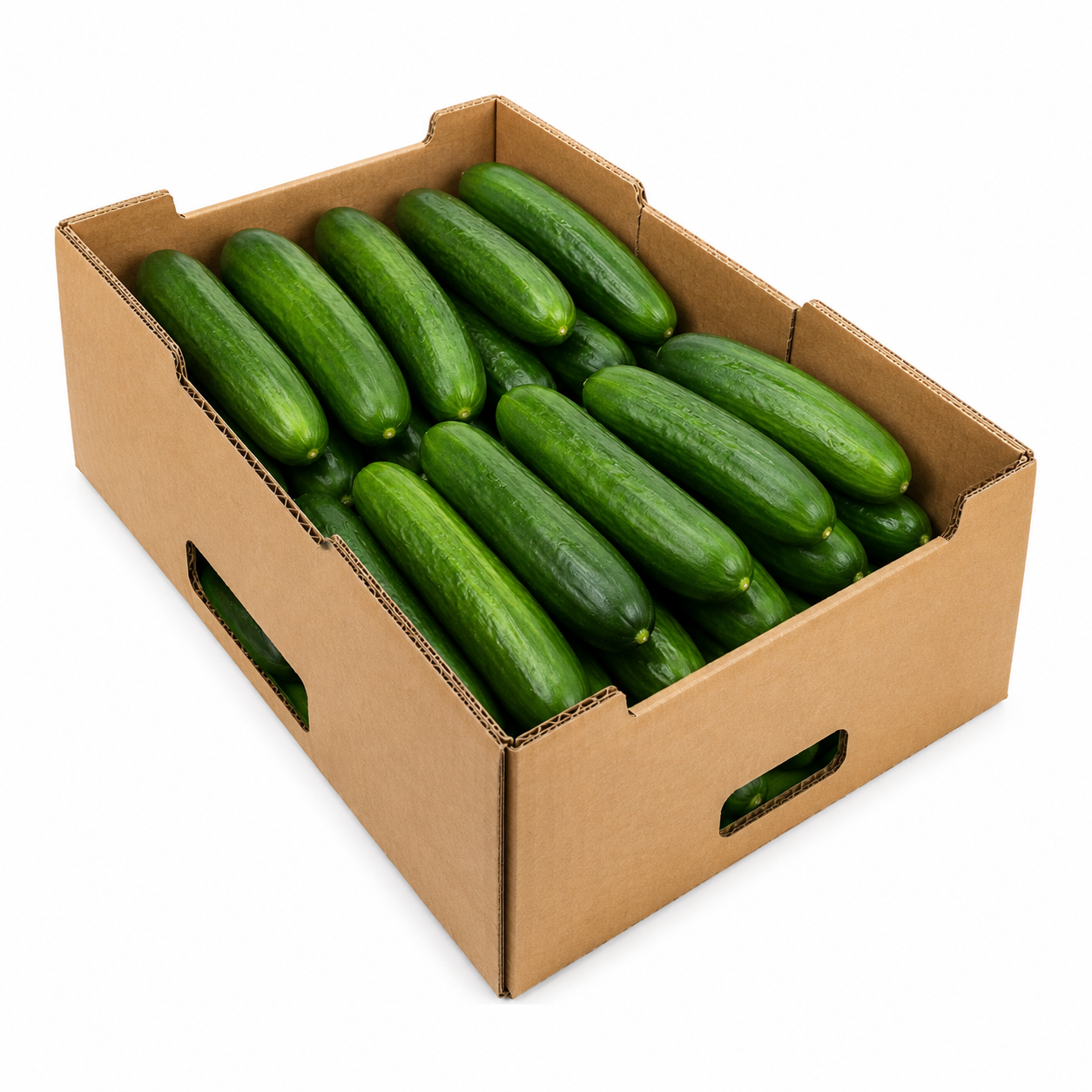 FRESH CUCUMBER 1 BOX