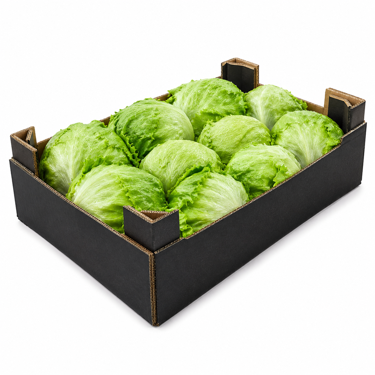 ICEBURG LETTUCE  1 BOX