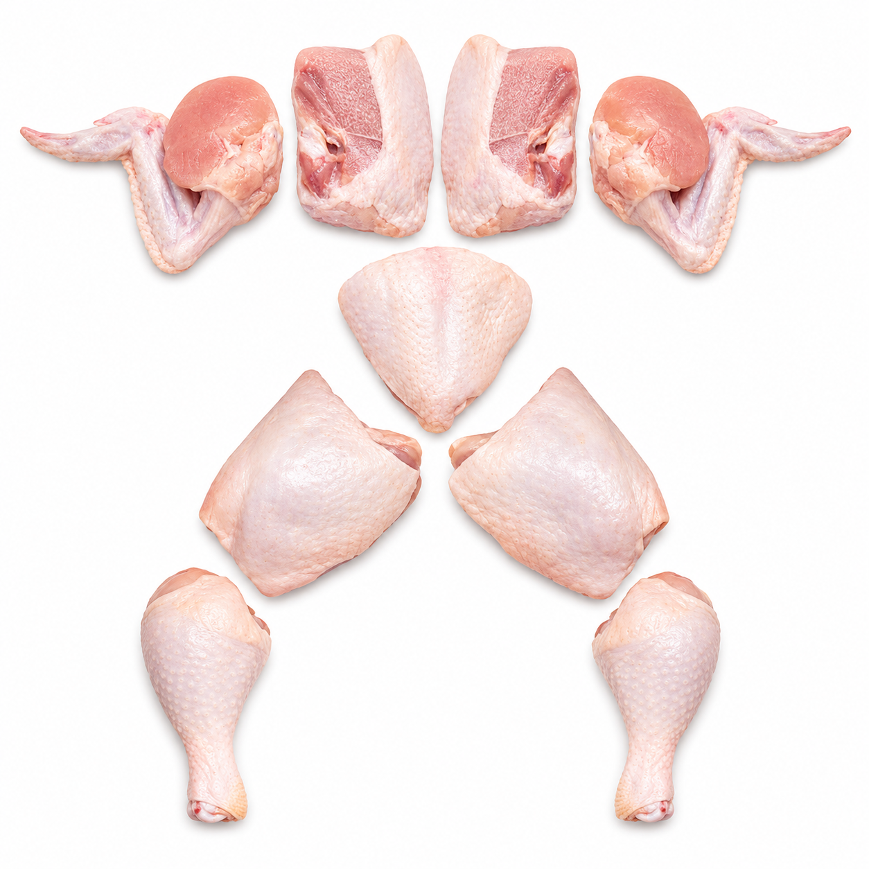 9 CUT CHICKEN FRESH 1500G-1600G 10 BIRDS (90 PCS)